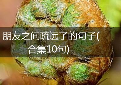 朋友之间疏远了的句子(合集10句)