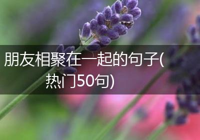 朋友相聚在一起的句子(热门50句)
