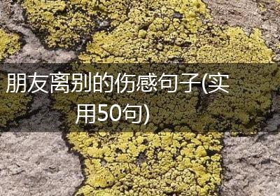 朋友离别的伤感句子(实用50句)