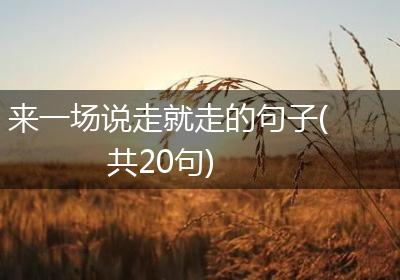 来一场说走就走的句子(共20句)