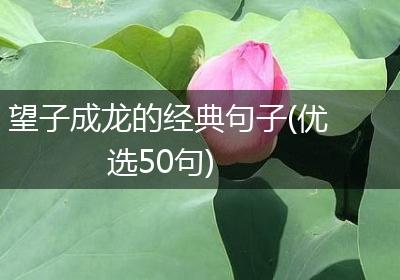 望子成龙的经典句子(优选50句)