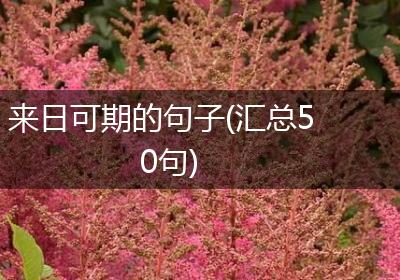 来日可期的句子(汇总50句)