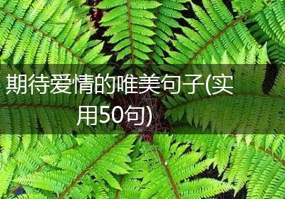 期待爱情的唯美句子(实用50句)