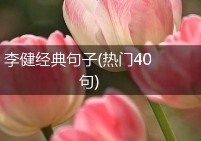 李健经典句子(热门40句)
