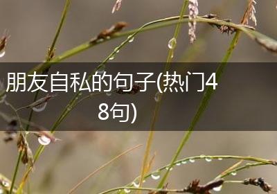 朋友自私的句子(热门48句)