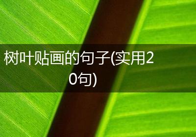 树叶贴画的句子(实用20句)