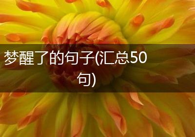 梦醒了的句子(汇总50句)