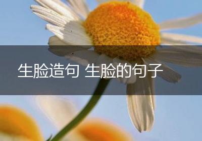生脸造句 生脸的句子