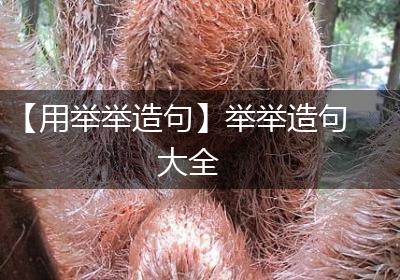 【用举举造句】举举造句大全