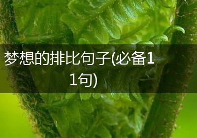 梦想的排比句子(必备11句)