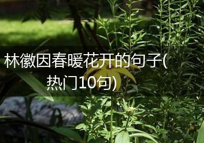 林徽因春暖花开的句子(热门10句)