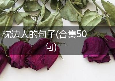 枕边人的句子(合集50句)
