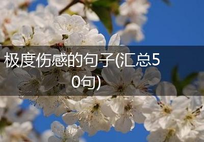 极度伤感的句子(汇总50句)
