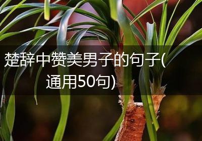 楚辞中赞美男子的句子(通用50句)