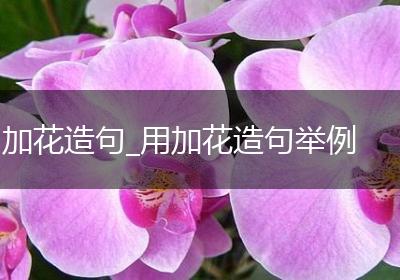 加花造句_用加花造句举例