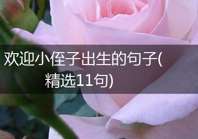 欢迎小侄子出生的句子(精选11句)