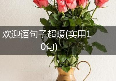 欢迎语句子超暖(实用10句)
