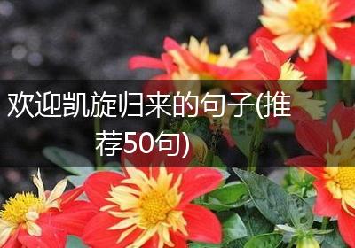 欢迎凯旋归来的句子(推荐50句)