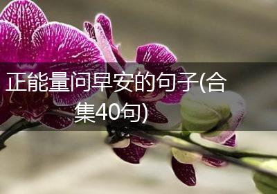 正能量问早安的句子(合集40句)