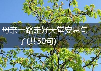 母亲一路走好天堂安息句子(共50句)