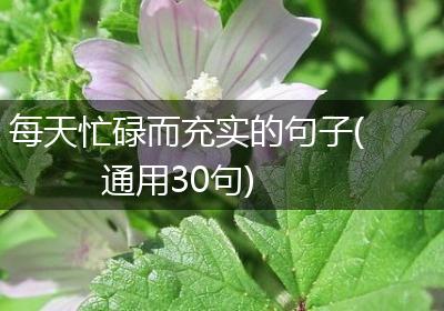 每天忙碌而充实的句子(通用30句)