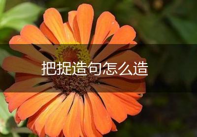 把捉造句怎么造
