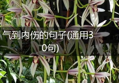 气到内伤的句子(通用30句)