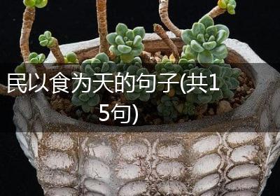 民以食为天的句子(共15句)