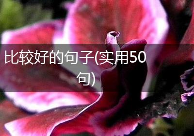 比较好的句子(实用50句)