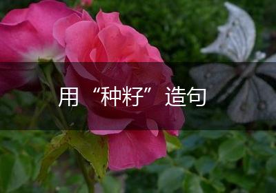 用“种籽”造句