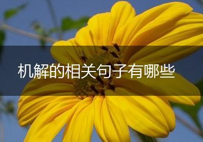 机解的相关句子有哪些