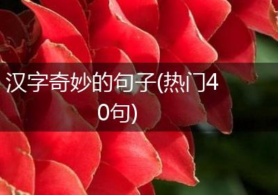 汉字奇妙的句子(热门40句)