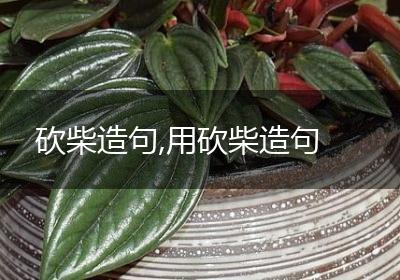 砍柴造句,用砍柴造句