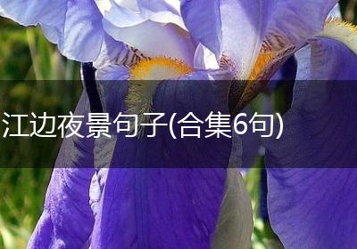 江边夜景句子(合集6句)
