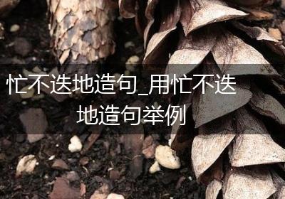 忙不迭地造句_用忙不迭地造句举例
