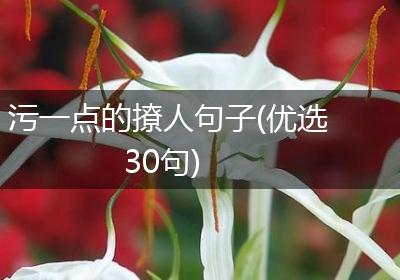 污一点的撩人句子(优选30句)