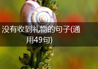 没有收到礼物的句子(通用49句)