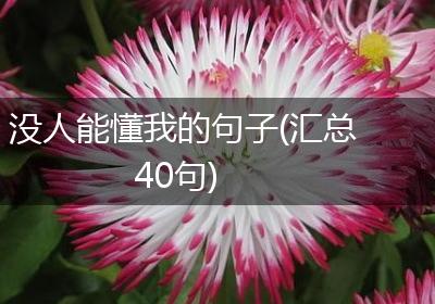 没人能懂我的句子(汇总40句)
