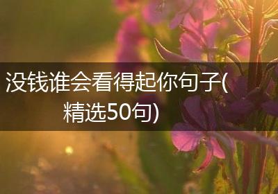 没钱谁会看得起你句子(精选50句)