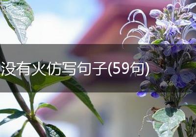 没有火仿写句子(59句)