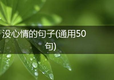没心情的句子(通用50句)