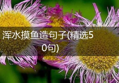 浑水摸鱼造句子(精选50句)