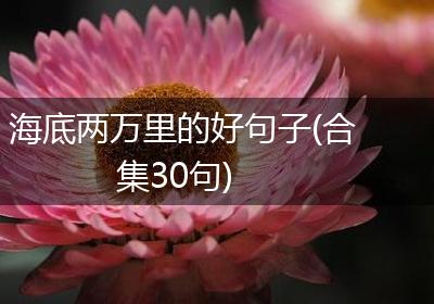 海底两万里的好句子(合集30句)