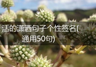 活的潇洒句子个性签名(通用50句)