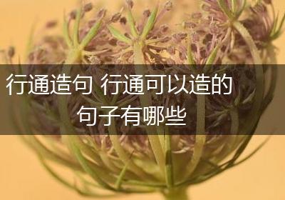 行通造句 行通可以造的句子有哪些