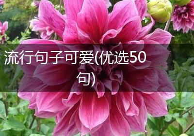 流行句子可爱(优选50句)