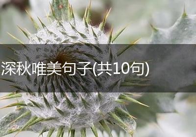 深秋唯美句子(共10句)