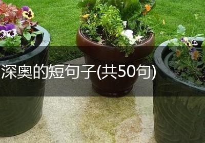 深奥的短句子(共50句)
