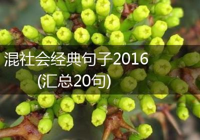 混社会经典句子2016(汇总20句)