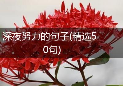 深夜努力的句子(精选50句)